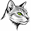 Loki the cat